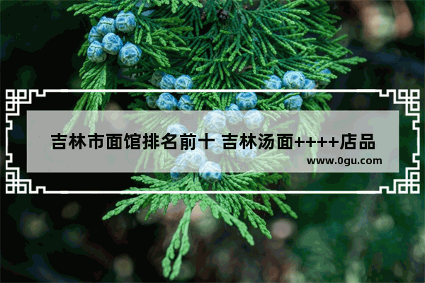 吉林市面馆排名前十 吉林汤面++++店品牌