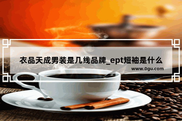 衣品天成男装是几线品牌_ept短袖是什么牌子