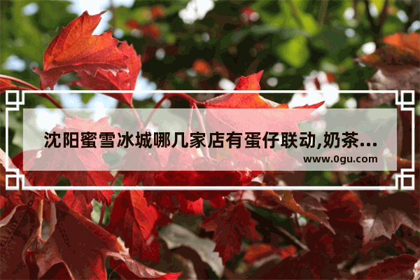沈阳蜜雪冰城哪几家店有蛋仔联动,奶茶小店++++店沈阳