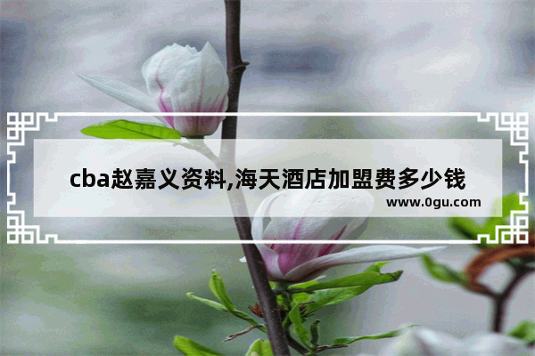 cba赵嘉义资料,海天酒店加盟费多少钱