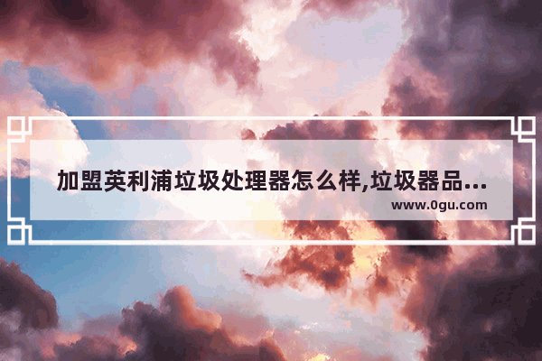 加盟英利浦垃圾处理器怎么样,垃圾器品牌加盟