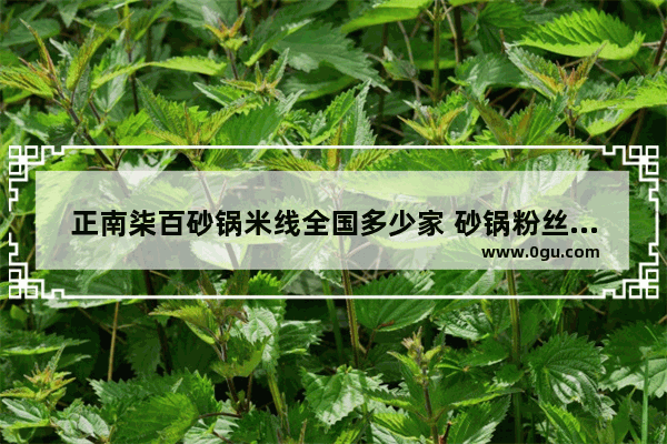 正南柒百砂锅米线全国多少家 砂锅粉丝煲加盟