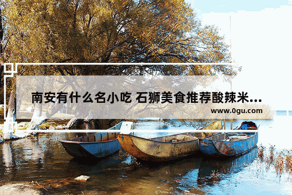 南安有什么名小吃 石狮美食推荐酸辣米粉加盟