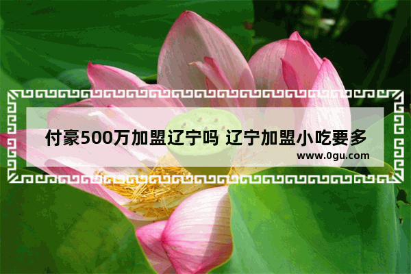 付豪500万加盟辽宁吗 辽宁加盟小吃要多少家店