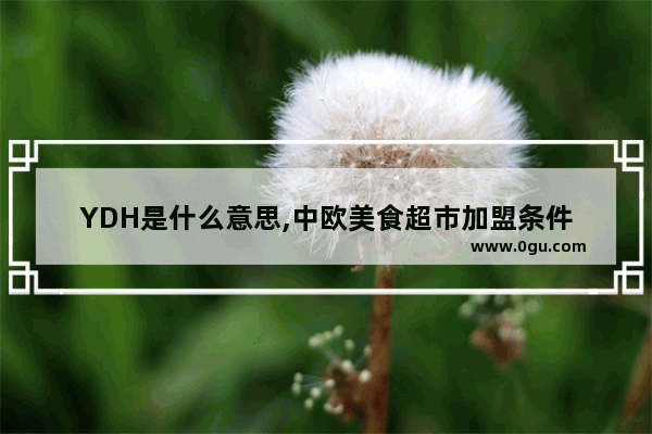 YDH是什么意思,中欧美食超市加盟条件