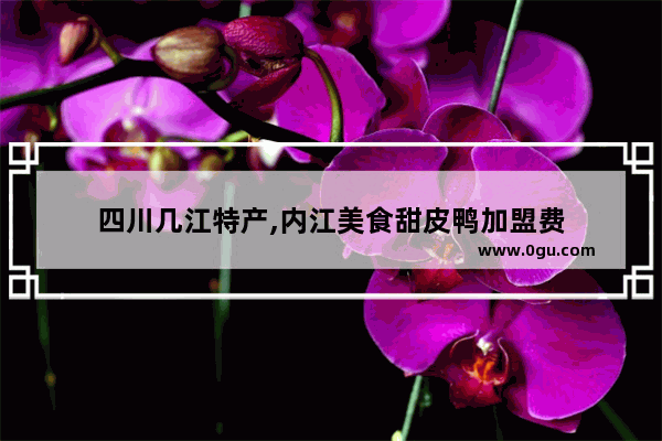 四川几江特产,内江美食甜皮鸭加盟费