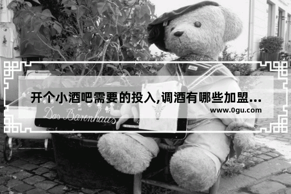 开个小酒吧需要的投入,调酒有哪些加盟品牌