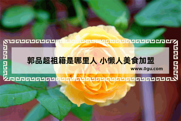 郭品超祖籍是哪里人 小懒人美食加盟