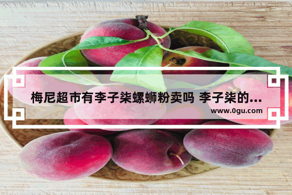 梅尼超市有李子柒螺蛳粉卖吗 李子柒的小吃能加盟吗吗