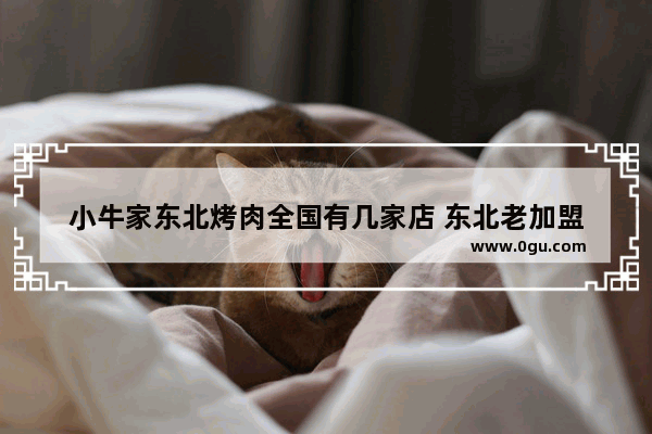 小牛家东北烤肉全国有几家店 东北老加盟