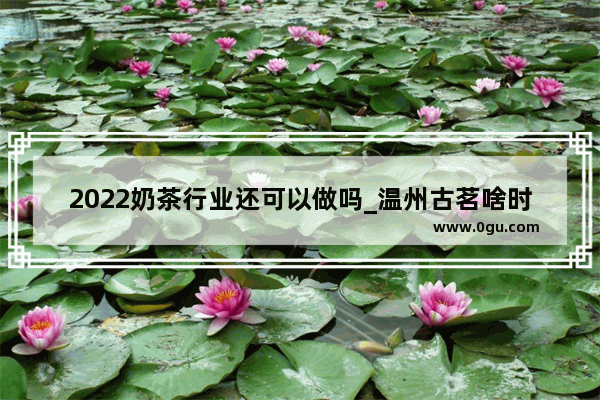2022奶茶行业还可以做吗_温州古茗啥时候出榴莲奶茶