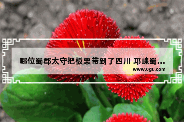 哪位蜀郡太守把板栗带到了四川 邛崃蜀汉美食加盟店推荐