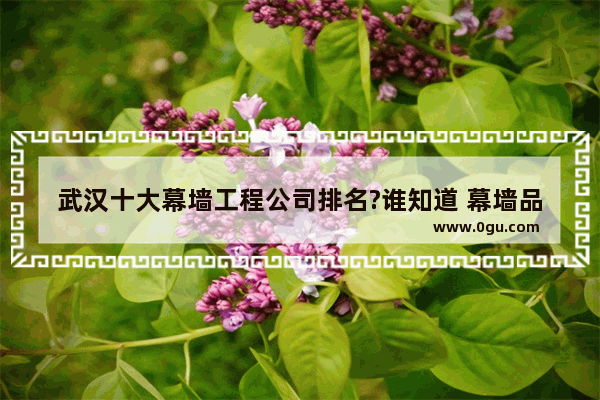 武汉十大幕墙工程公司排名?谁知道 幕墙品牌加盟