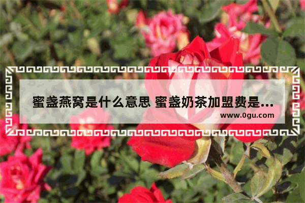 蜜盏燕窝是什么意思 蜜盏奶茶加盟费是多少