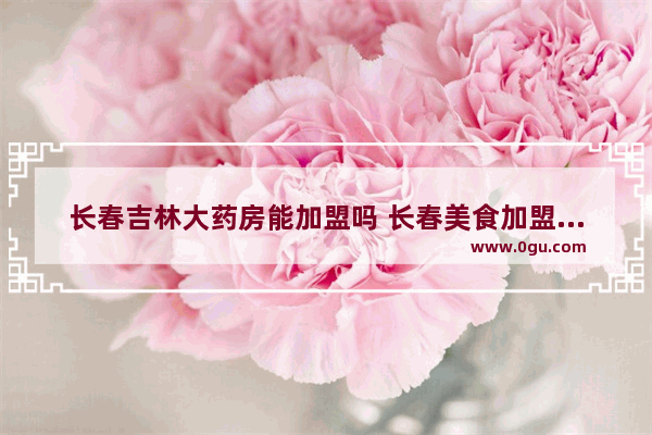 长春吉林大药房能加盟吗 长春美食加盟商排行榜前十