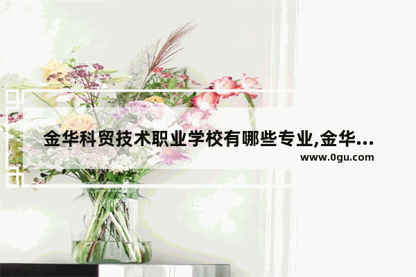 金华科贸技术职业学校有哪些专业,金华容易做的小吃加盟