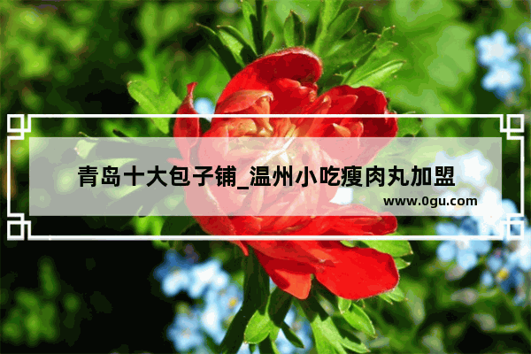 青岛十大包子铺_温州小吃瘦肉丸加盟