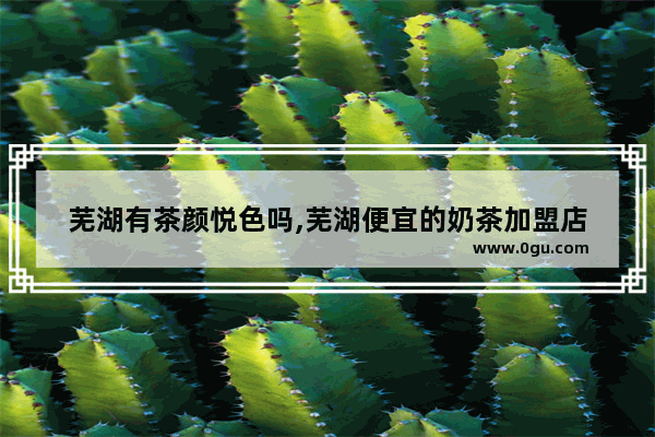 芜湖有茶颜悦色吗,芜湖便宜的奶茶加盟店