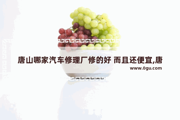 唐山哪家汽车修理厂修的好 而且还便宜,唐山火爆小吃店加盟店排行