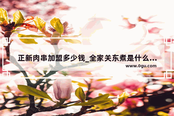 正新肉串加盟多少钱_全家关东煮是什么时候出来的