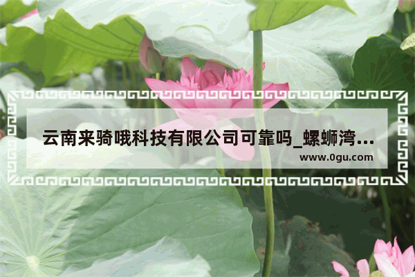 云南来骑哦科技有限公司可靠吗_螺蛳湾商聚通是做什么的