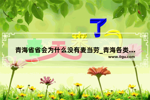 青海省省会为什么没有麦当劳_青海各类小吃加盟