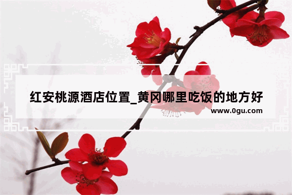 红安桃源酒店位置_黄冈哪里吃饭的地方好