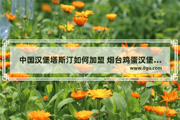 中国汉堡塔斯汀如何加盟 烟台鸡蛋汉堡南京小吃加盟