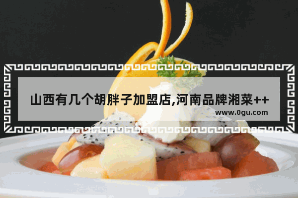 山西有几个胡胖子加盟店,河南品牌湘菜++++