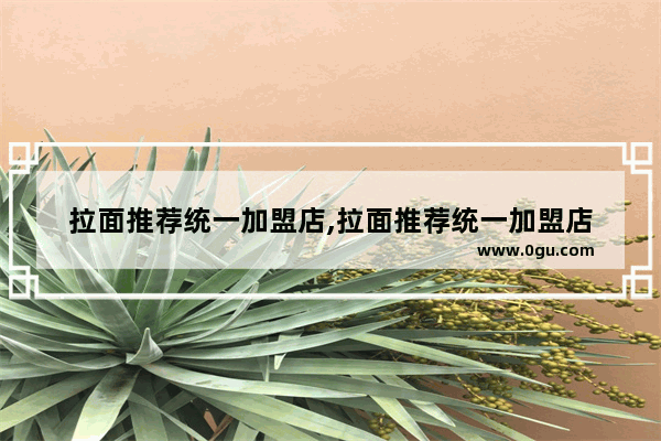 拉面推荐统一加盟店,拉面推荐统一加盟店