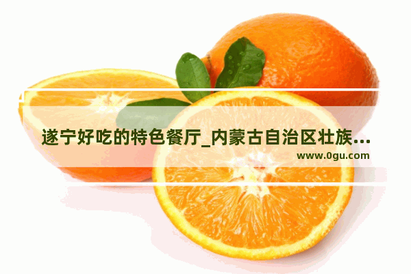 遂宁好吃的特色餐厅_内蒙古自治区壮族自治区特色美食