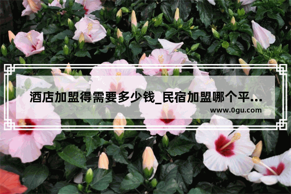 酒店加盟得需要多少钱_民宿加盟哪个平台最好