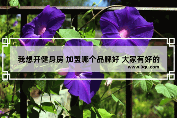 我想开健身房 加盟哪个品牌好 大家有好的推荐吗 健身食品加盟店推荐哪家好