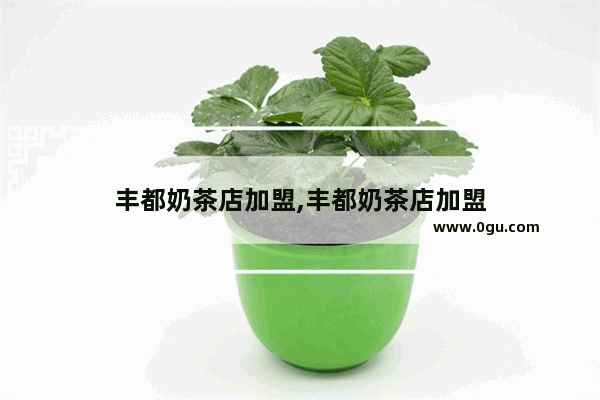 丰都奶茶店加盟,丰都奶茶店加盟