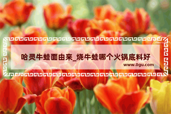 哈灵牛蛙面由来_烧牛蛙哪个火锅底料好