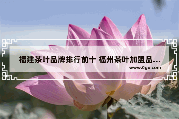 福建茶叶品牌排行前十 福州茶叶加盟品牌店哪家好