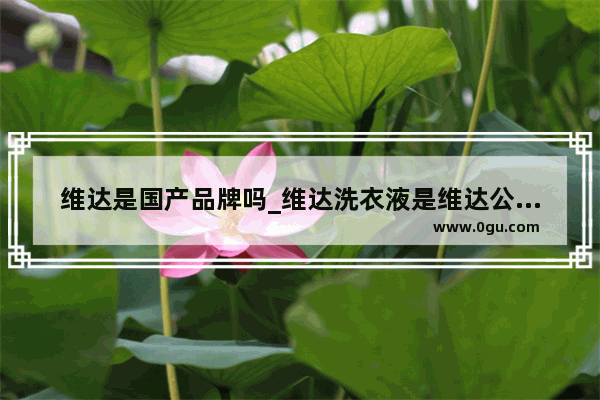 维达是国产品牌吗_维达洗衣液是维达公司的吗