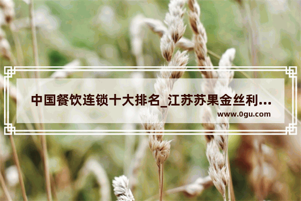 中国餐饮连锁十大排名_江苏苏果金丝利和苏果超市一样吗