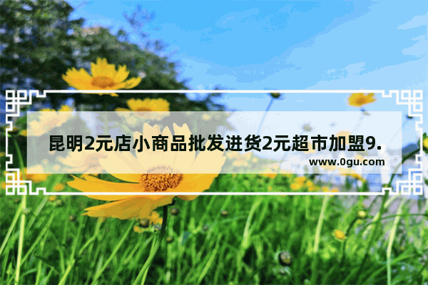 昆明2元店小商品批发进货2元超市加盟9.9元店十元店哪里有 昆明特色名小吃++++店