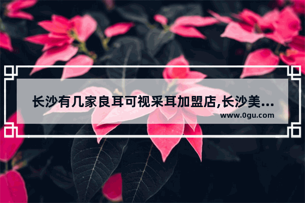 长沙有几家良耳可视采耳加盟店,长沙美食小吃++++