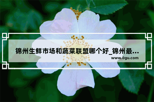锦州生鲜市场和蔬菜联盟哪个好_锦州最好的火锅店有哪几家