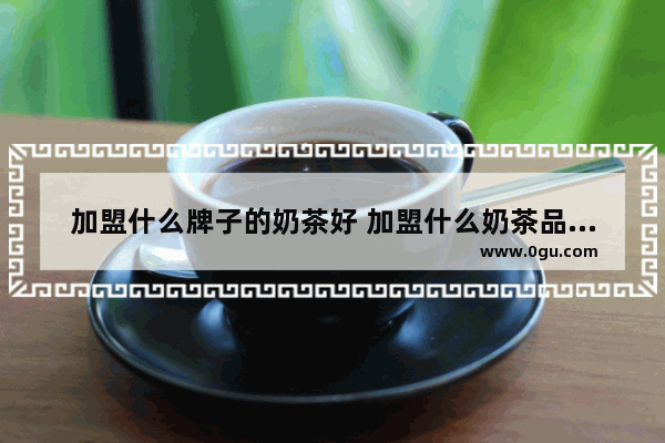 加盟什么牌子的奶茶好 加盟什么奶茶品牌大全好