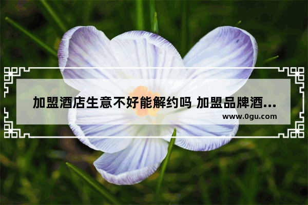 加盟酒店生意不好能解约吗 加盟品牌酒店注意哪些事项