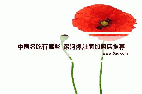 中国名吃有哪些_漯河爆肚面加盟店推荐