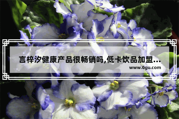 言梓汐健康产品很畅销吗,低卡饮品加盟店排行