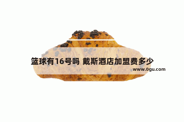 篮球有16号吗 戴斯酒店加盟费多少