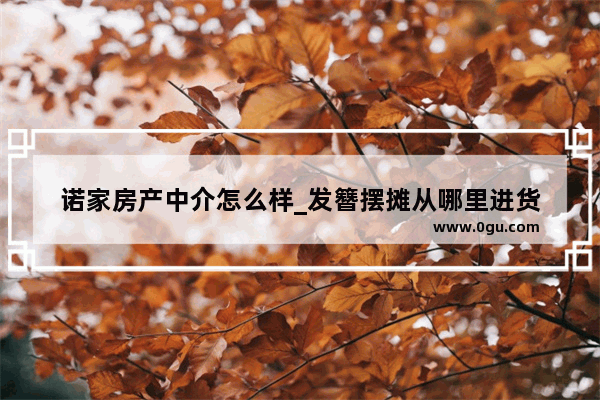 诺家房产中介怎么样_发簪摆摊从哪里进货