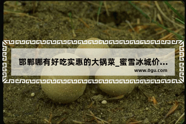 邯郸哪有好吃实惠的大锅菜_蜜雪冰城价值主张