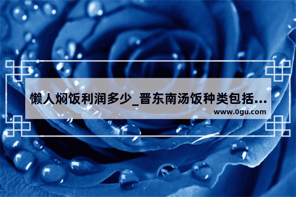懒人焖饭利润多少_晋东南汤饭种类包括什么