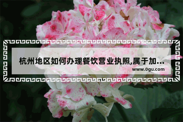 杭州地区如何办理餐饮营业执照,属于加盟类型的_恩宠堂加盟靠谱吗